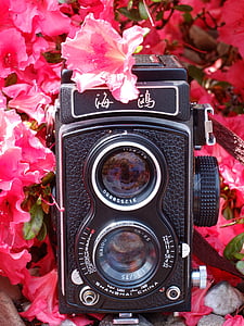 black and white land camera on pink flowers thumbnail