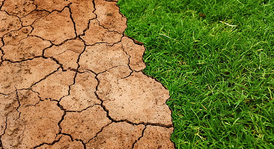 green grass thumbnail