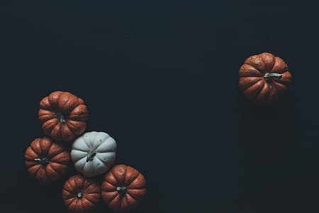 Minimalistic pumpkins thumbnail