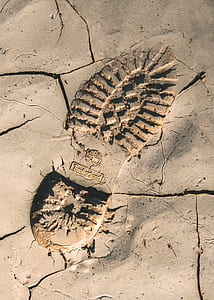 shoe print on concrete floor thumbnail