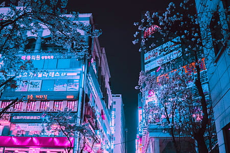 photo of buildings during night thumbnail