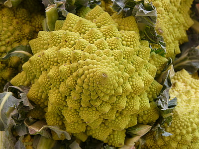 green vegetable thumbnail