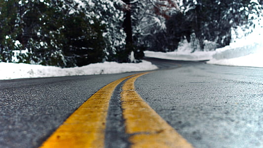 empty road with trees on side thumbnail