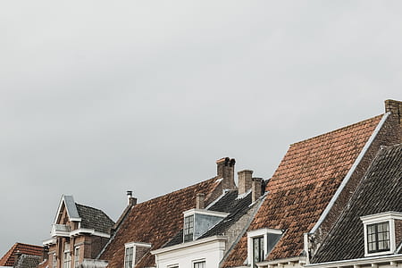 houses under white sky thumbnail
