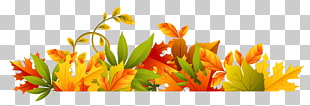 Autumn Computer file, Transparent Autumn Border , yellow, orange, and green flowers PNG clipart