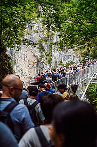 people standing on bridge near trees thumbnail