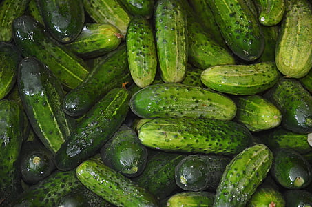 green cucumber lot thumbnail