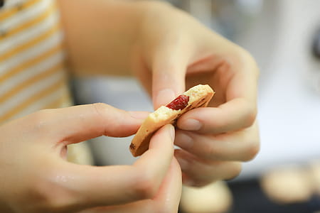Person Holding Biscuit With Both Hands thumbnail