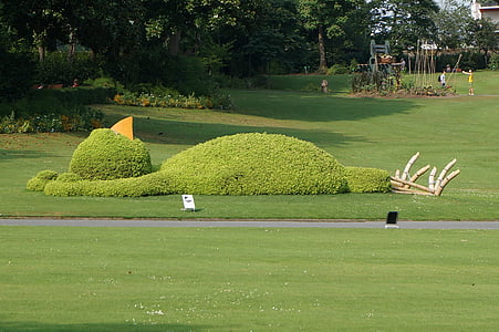green bird-themed grass near tree thumbnail