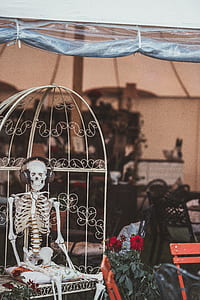 skeleton sitting in white steel chair while wearing headphones thumbnail