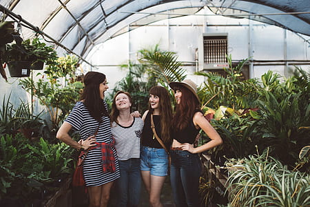 four women in garden thumbnail