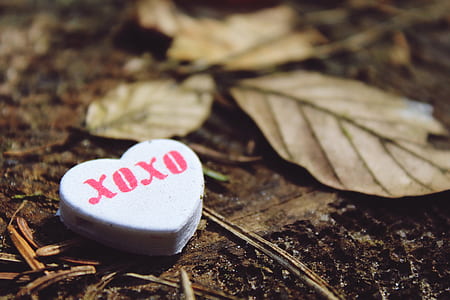 white heart toy on soil thumbnail