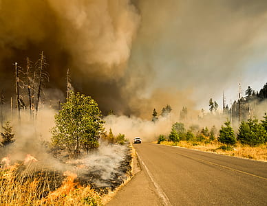 gray smoke on road thumbnail