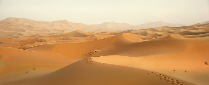 desert with white sky thumbnail