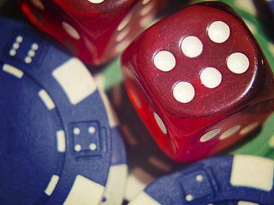 red dice and blue poker chips in closeup photography thumbnail