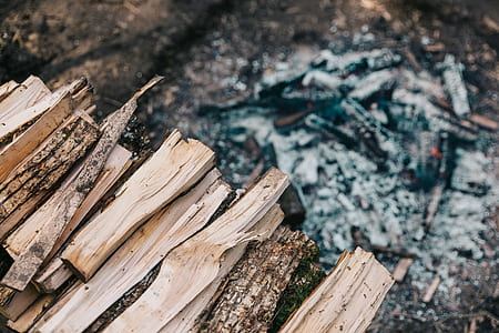 selective focus photography of firewood cord thumbnail