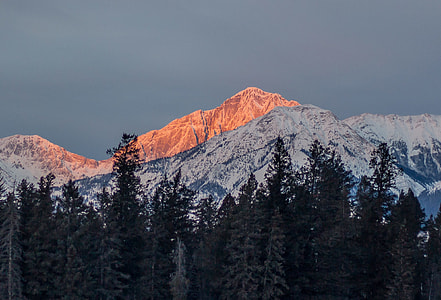 snow covered mountain surrounded by trees thumbnail
