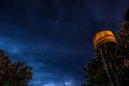 silhoutte of tree under milky way thumbnail