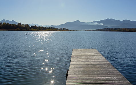 brown wooden dock thumbnail