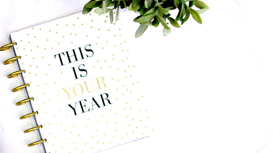 white and gold polka-dot notebook beside green leaf plants close-up photo thumbnail