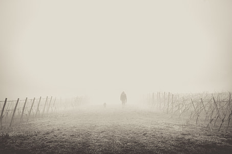 foggy street thumbnail