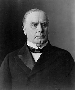 William Mckinley Portrait thumbnail