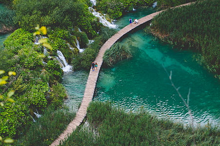 persons walking on bridge thumbnail