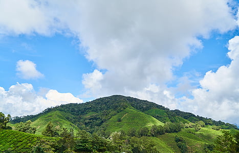 photo of green mountain thumbnail