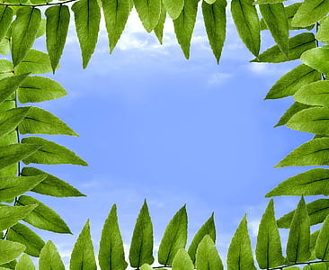 clear blue sky thumbnail