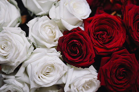 White And Red Roses Bouquet thumbnail