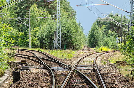 gray steel train rail in the forest during daytime thumbnail