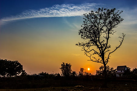 light, dawn, landscape, nature thumbnail