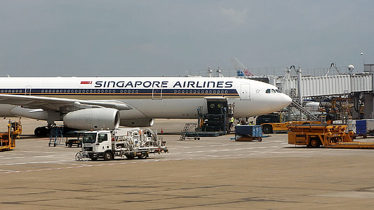 Singapore Airlines, Airport thumbnail