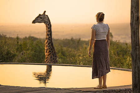 woman standing near giraffe thumbnail