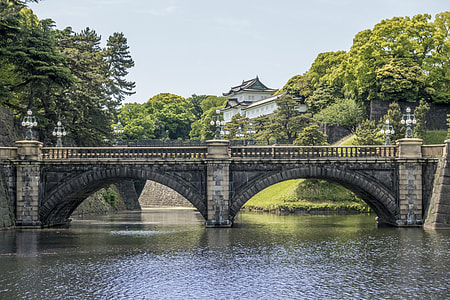 concrete bridge surrounded by trees thumbnail