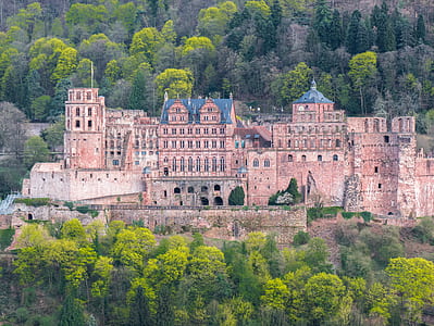 landscape photography of beige castle surrounded by trees thumbnail