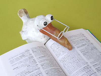 white and brown seagull figurine thumbnail