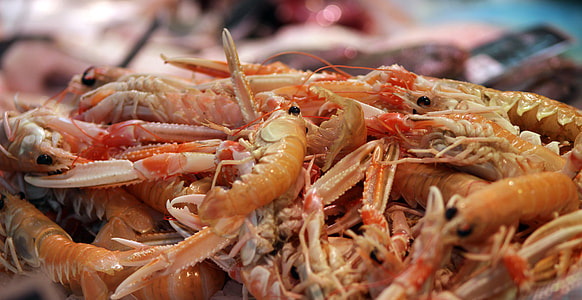 Shrimp and fresh seafood thumbnail