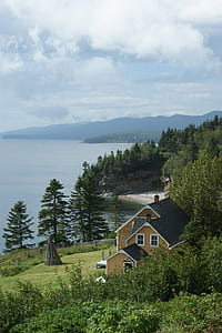 brown house surrounded by trees beside body of water during daytime thumbnail