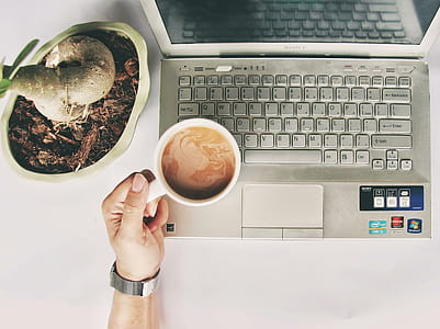 Person Holding White Mug on Gray Laptop Computer thumbnail