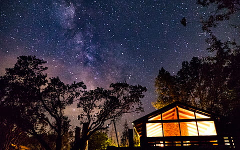 lighted wooden house under starry sky thumbnail
