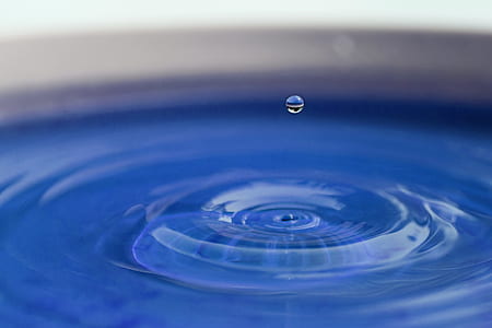 macro photography of water drop thumbnail
