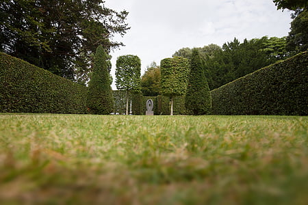 worm's eye view photography of garden thumbnail