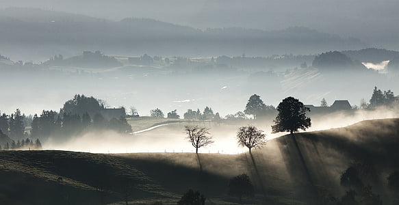 trees near mountains thumbnail