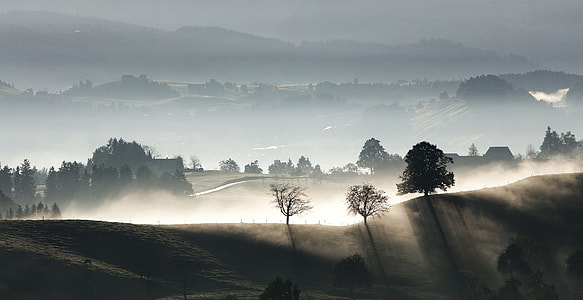 landscape photography of mountain during foggy day thumbnail