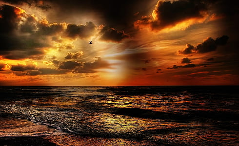 sea, dawn, landscape, nature thumbnail
