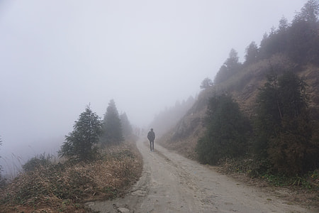 silhouette of man walking on road near trees on mountain surrounded by fogs thumbnail