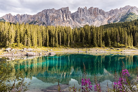 calm body of water surrounded by green pine trees thumbnail