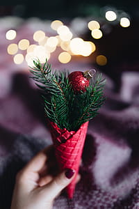 Burgundy Christmas Decorations thumbnail