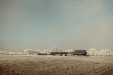 black house thumbnail